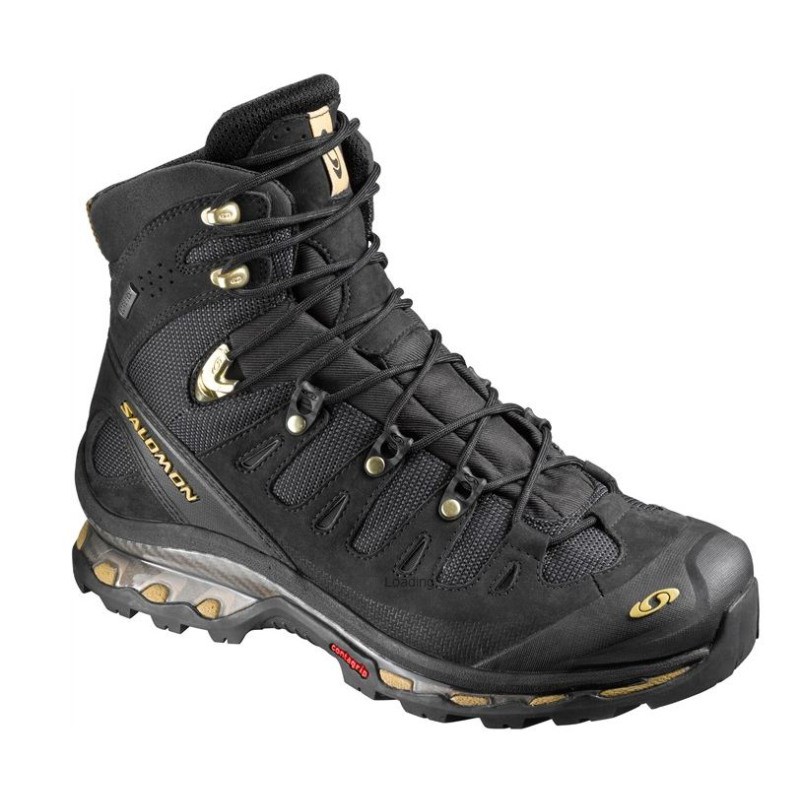 Trekking Shoes ,outdoor Trekking Shoes , Hiking Shoes,Quest 4D GTX